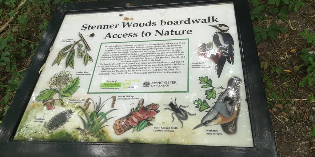 Hidden Spring & Waterfall