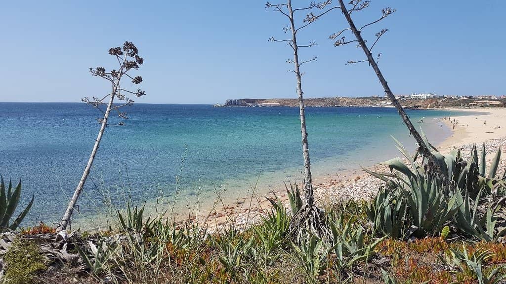 Shallow, Clear Waters