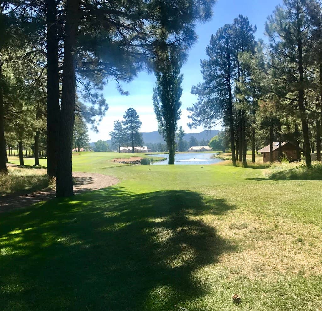 Challenging Yet Fun Holes