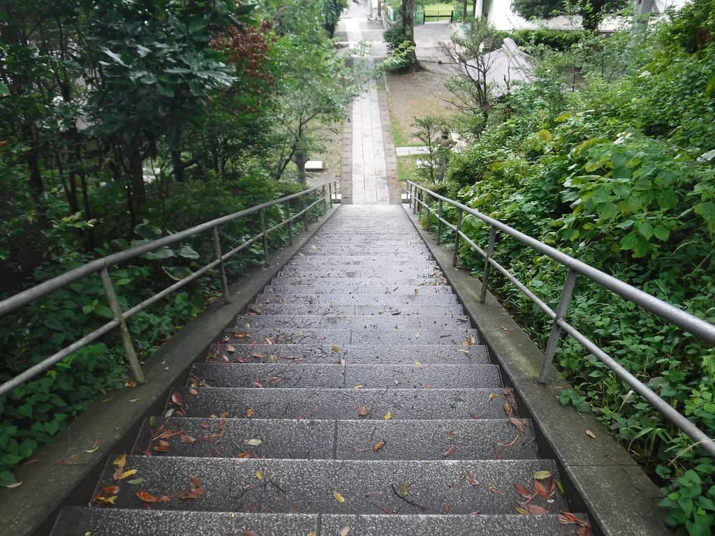 Peaceful Stamp Collection