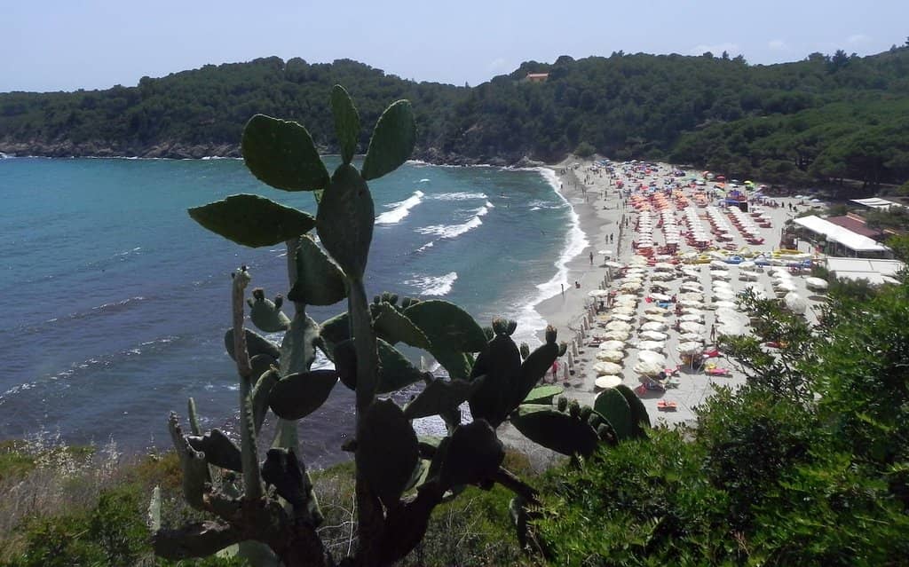 Soft White Granite Sand