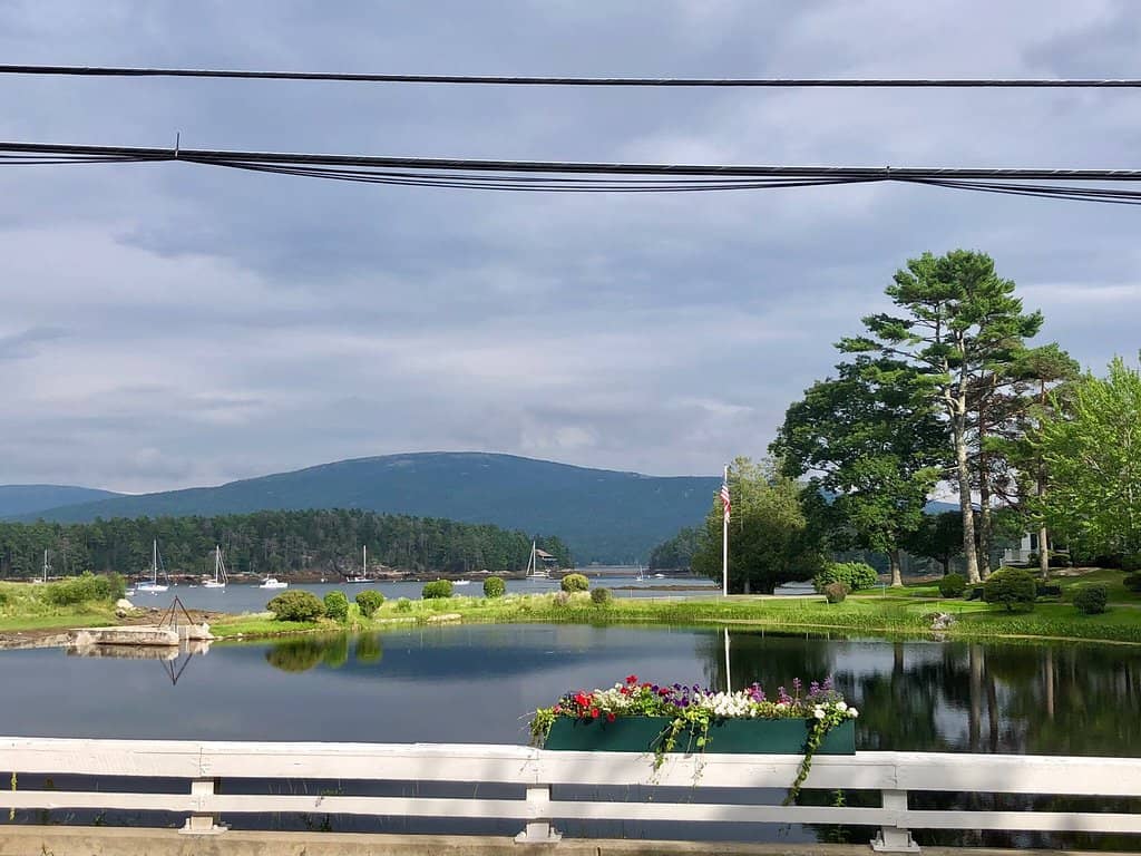 Well-Maintained Gardens