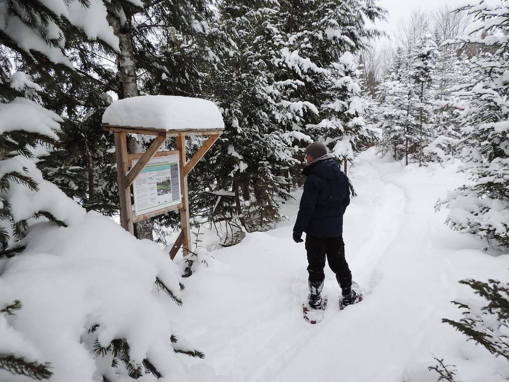 Historic Mansion Grounds