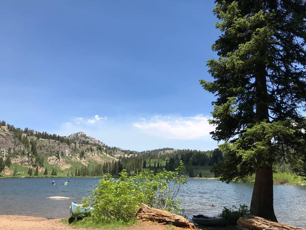 White Pine Lake Trail