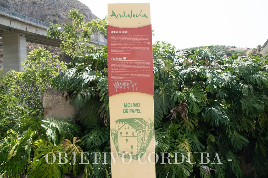 Scenic Cliffs and Nature