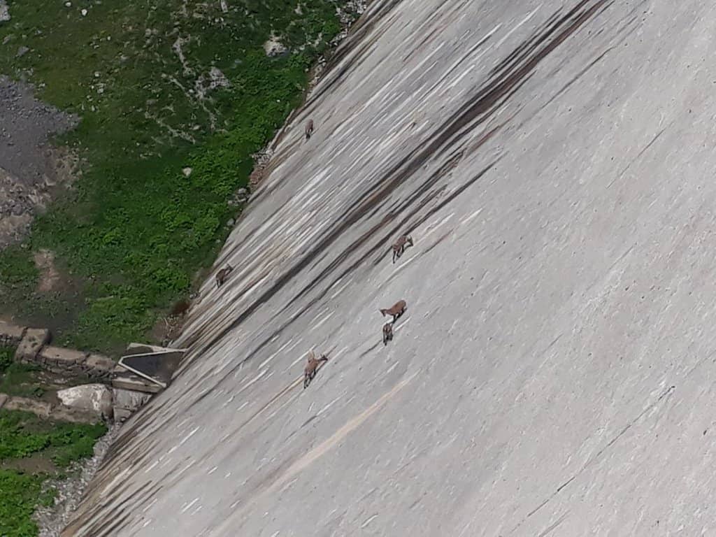 Sentiero degli Stradini