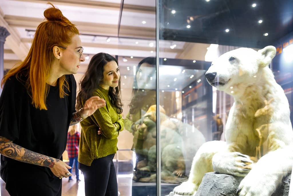 Meteorite Collection