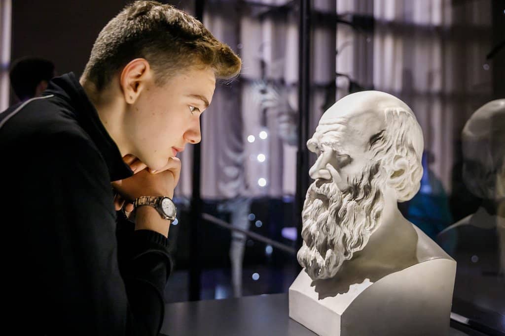 The Majestic Giraffatitan