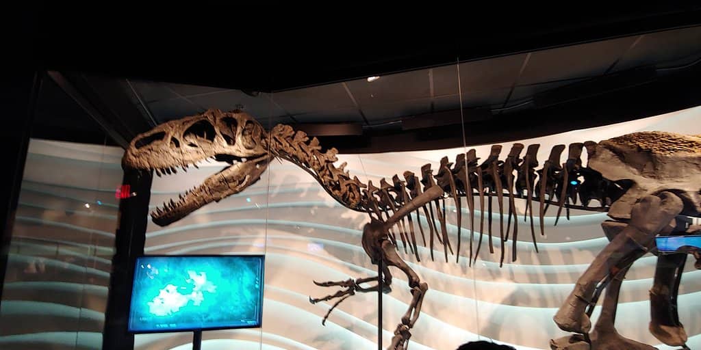 Noah's Ark & The Flood