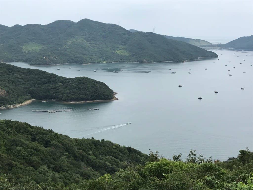 Panoramic Tokushima Views