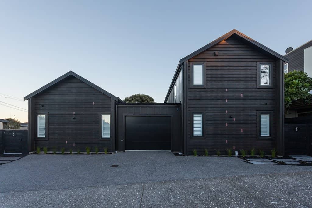 Birria Taco Delights