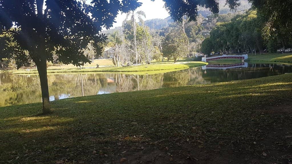 Tranquil Water Features