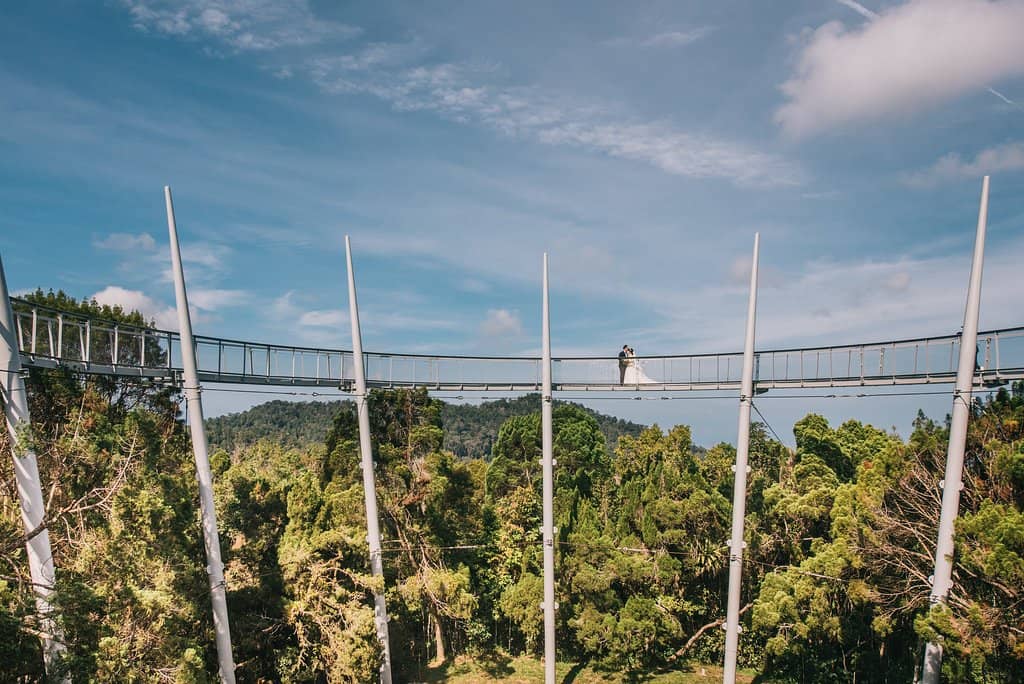 Rainforest Discovery