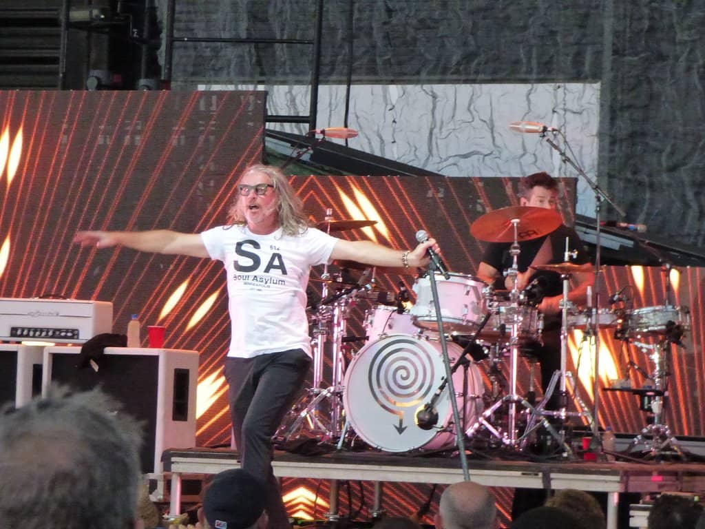 Picnic and Chill Spot