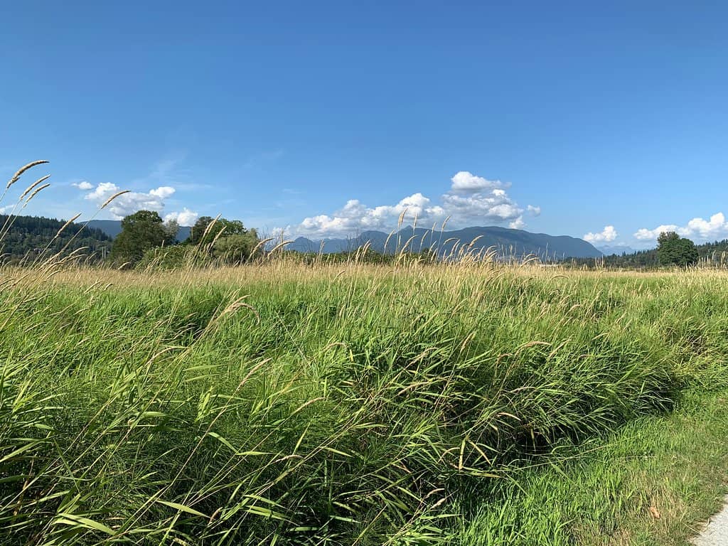 Birdwatching Paradise