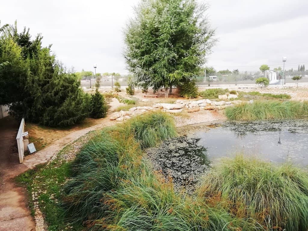 Indigenous Flora Sections