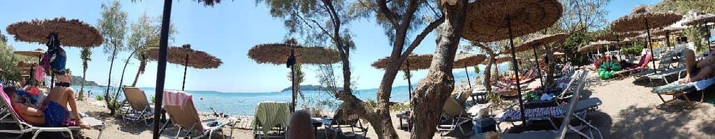 Caretta-Caretta Turtles