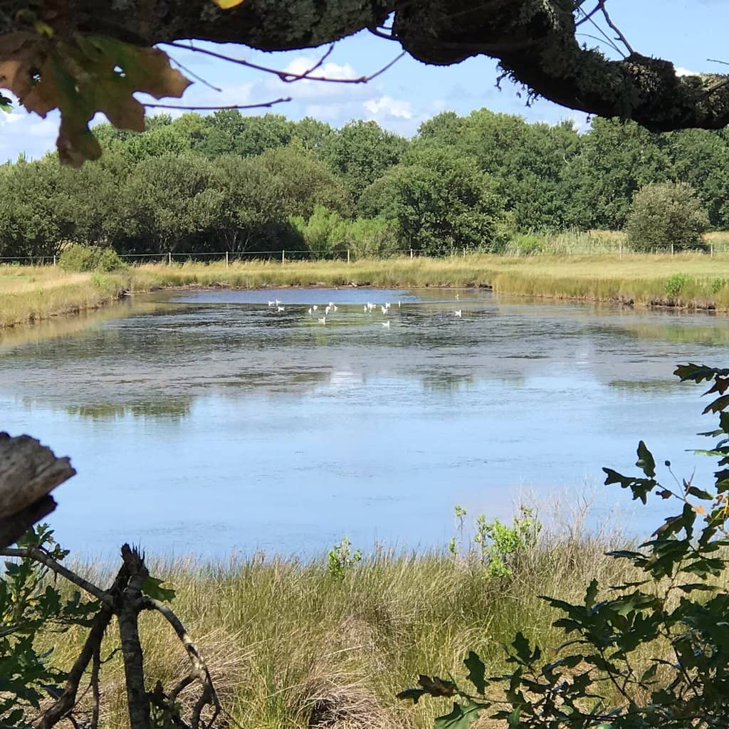 Birdwatching Paradise