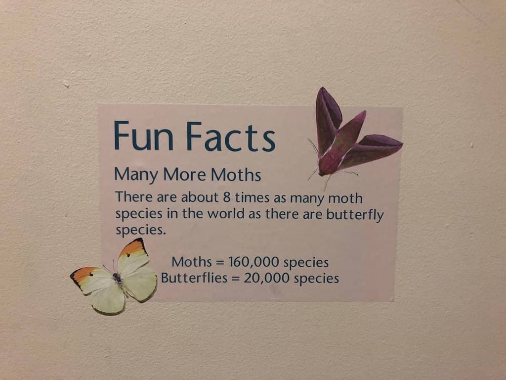 MSU Botanical Gardens