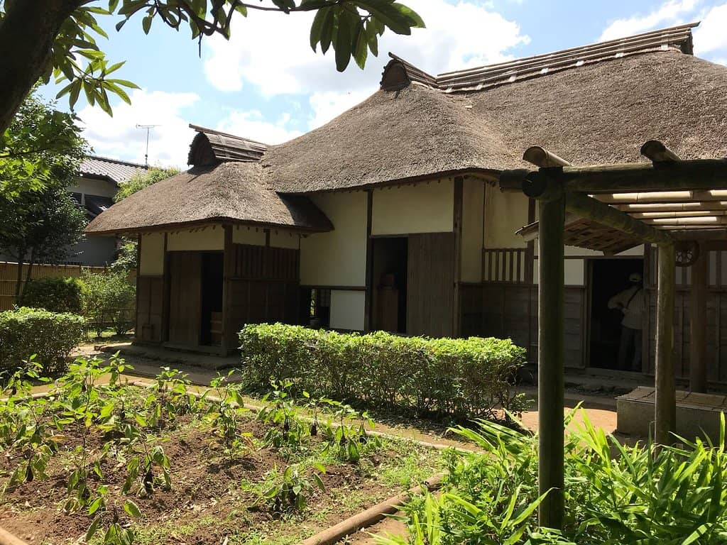 Authentic Household Items