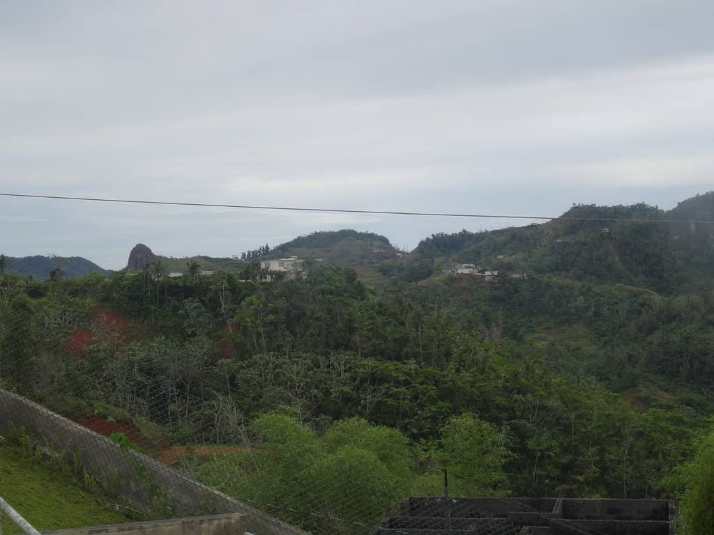 Ruta Panorámica Drive