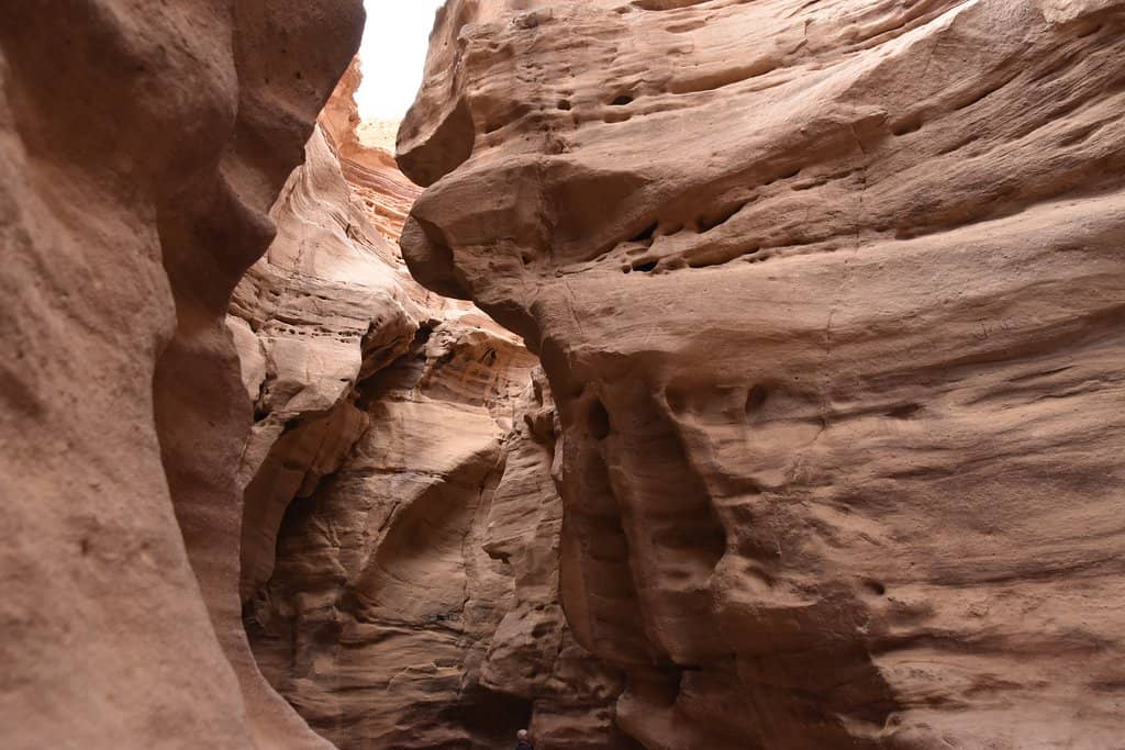 Wild Camping Experience