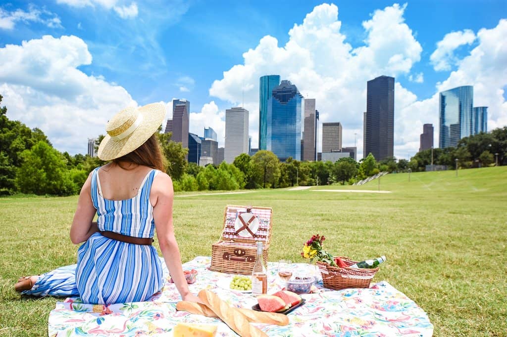 Houston Skyline Views