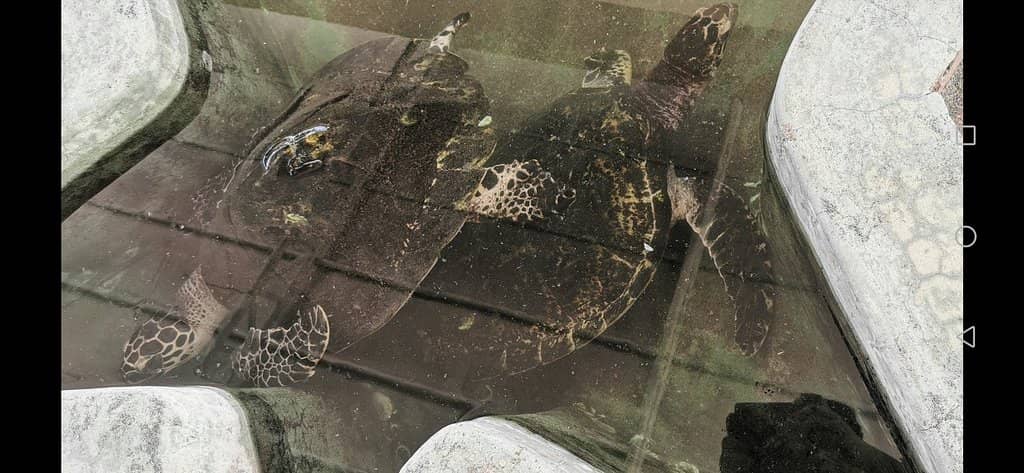 Educational Programs