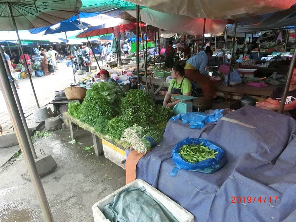 Local Shopping Finds