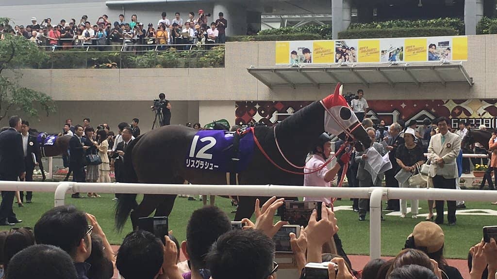 Diverse Dining & Drinks