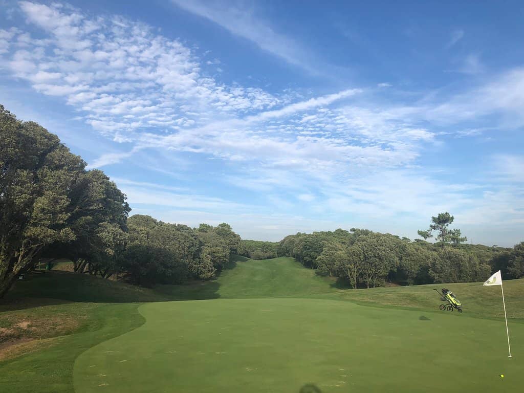 Pine Forest Fairways