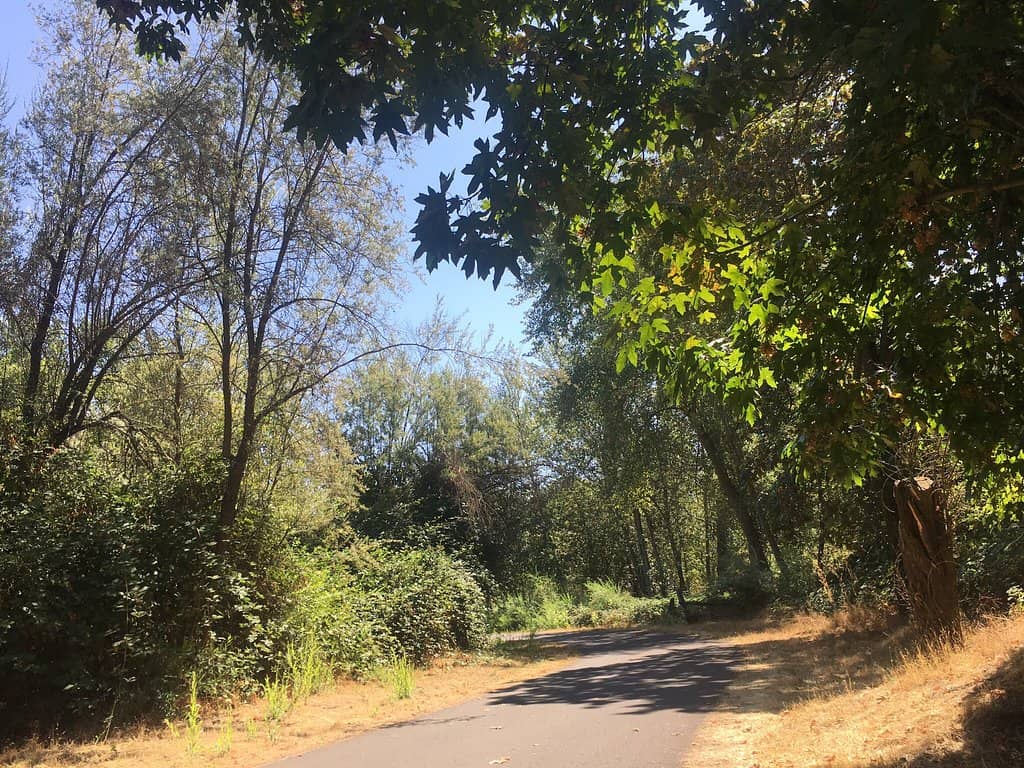 Playground & Sports Facilities