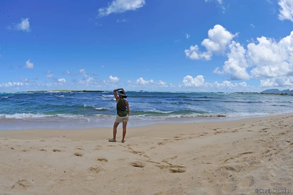 Camping Under the Trees