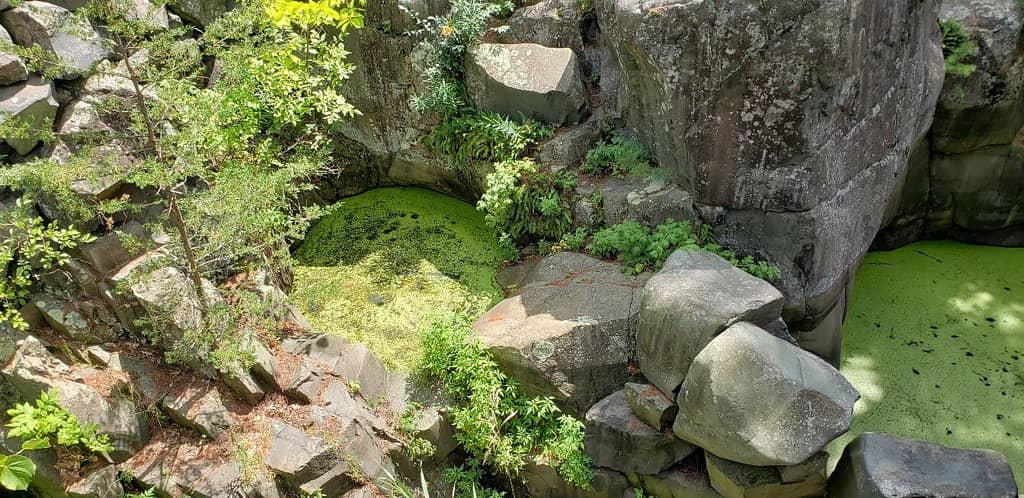Dalles of the St. Croix Gorge