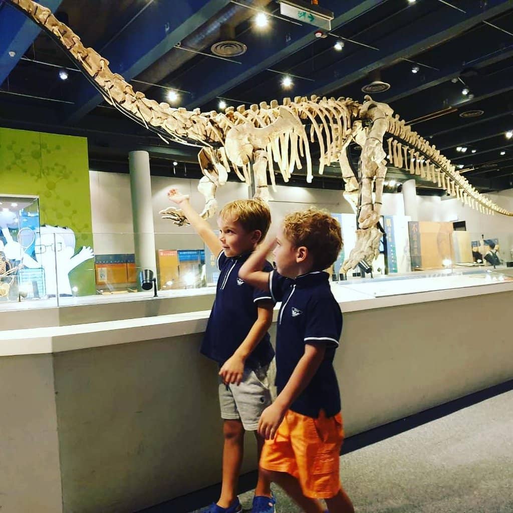 Robotics and Space Exhibits