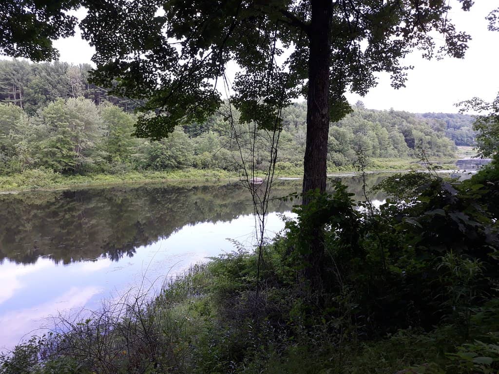 Picnic Areas with Grills