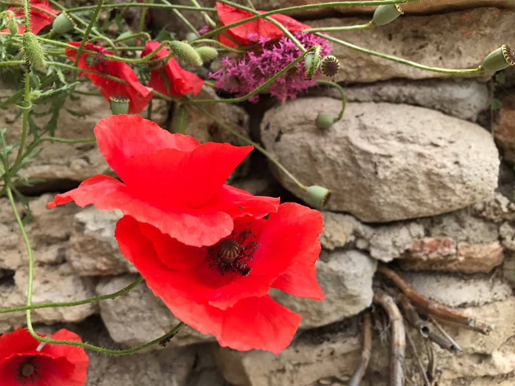 Cascading Water Features