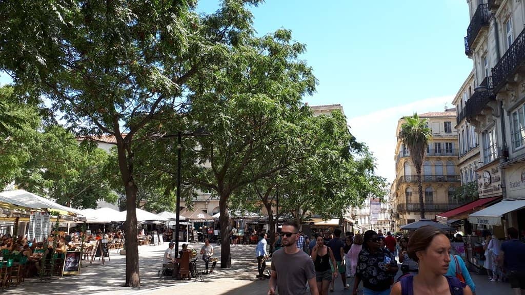 Seasonal Decorations