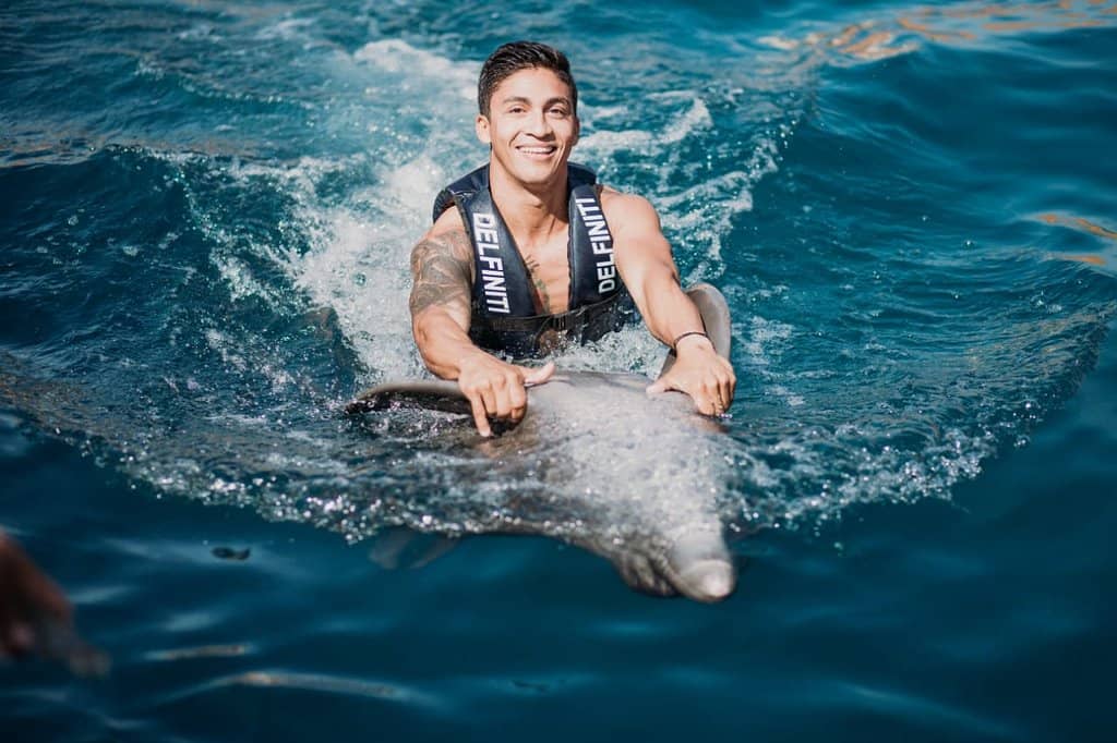 Swim with Dolphins