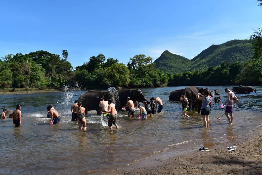 Baby Elephant Encounters