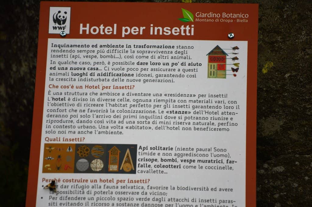 Interactive Educational Elements