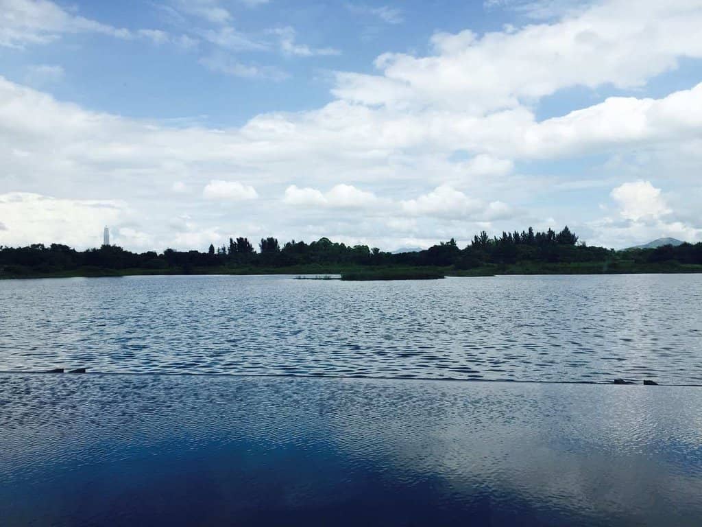 Charming Boardwalk Trails