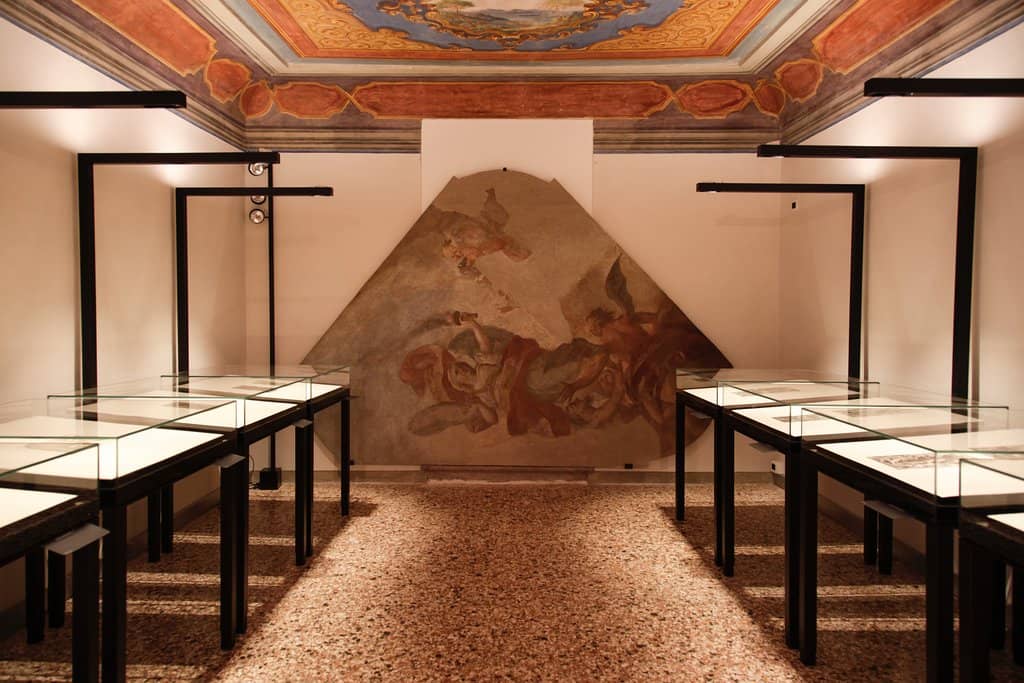 Albrecht Dürer's Rhino