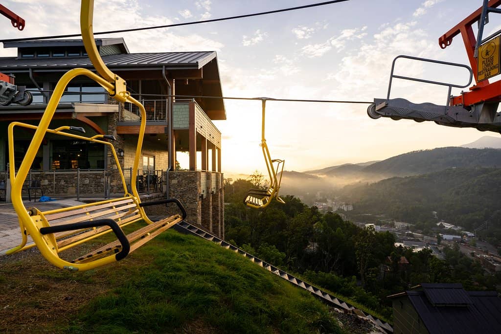 SkyTrail & Tulip Tower