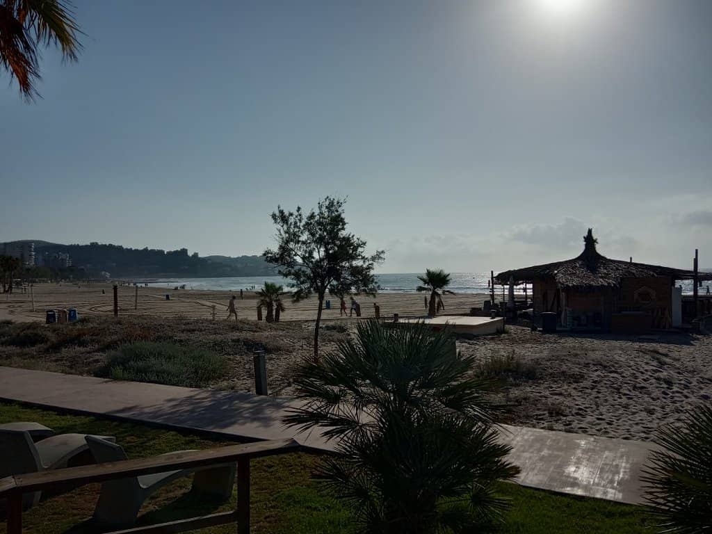 Beachfront Dining & Amenities