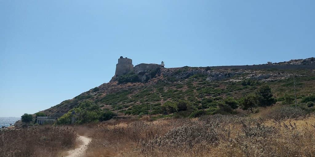 Unique Sardinian Flora