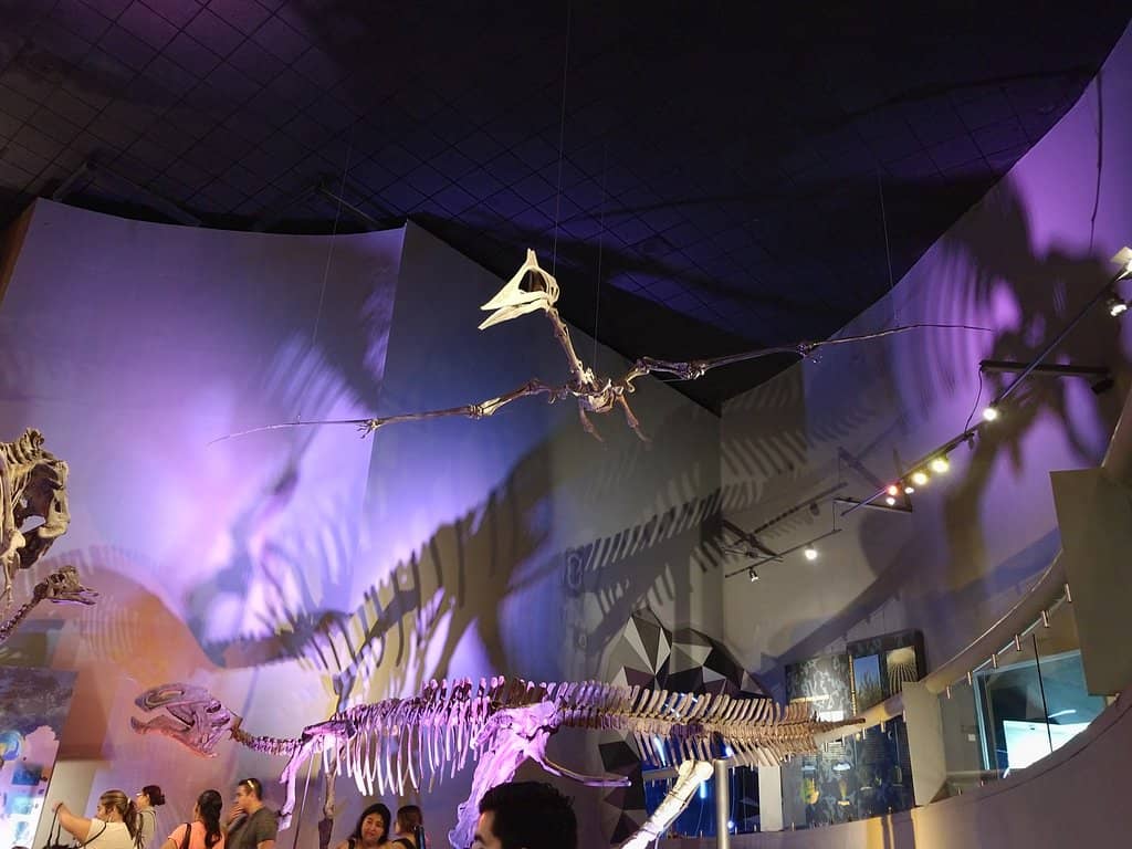 Live Animal Exhibits