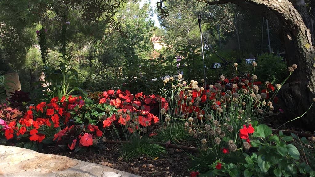 Scenic Walking Paths