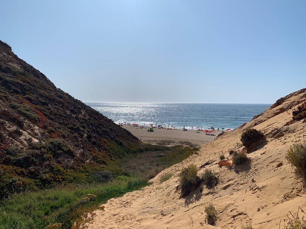 Paragliding Adventures