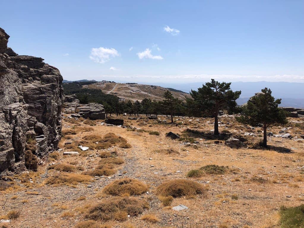 The Astronomical Observatories